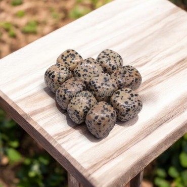 Dalmation Jasper Polished Tumbled Stones